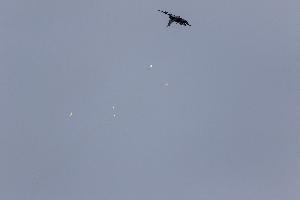 IMG_1727.jpg
