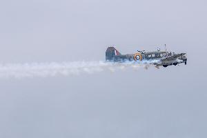 IMG_1928.jpg