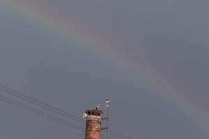 IMG_1934.jpg